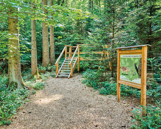 Ried: Erlebnispfad Höglwald