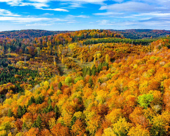 Bad Urach: Naturlehrpfad im Maisental Bad Urach: Naturlehrpfad im Maisental