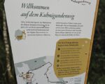 Immenstadt: Kuhnigundenweg