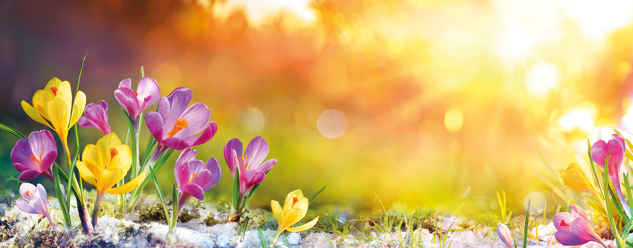 Frühling in Augsburg